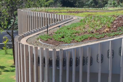 Green-Roof-15-1024x678